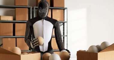 NEO Humanoid Robot